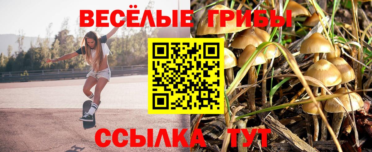 Тулун  Галлюциногенные грибы GOLDEN TEACHER  Галлюциногенные грибы мицелий  Вход с VPN 